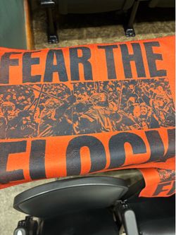 Ducks playoffs game 3 vs Vegas knights rally towel