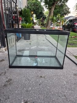 65 gallon fish tank