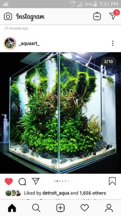 Aquascaping supply sale