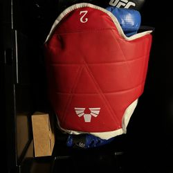 Body Shield