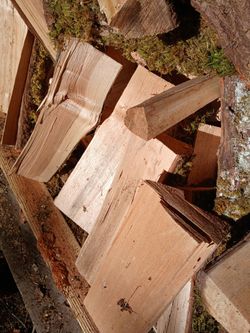Seasoned firewood