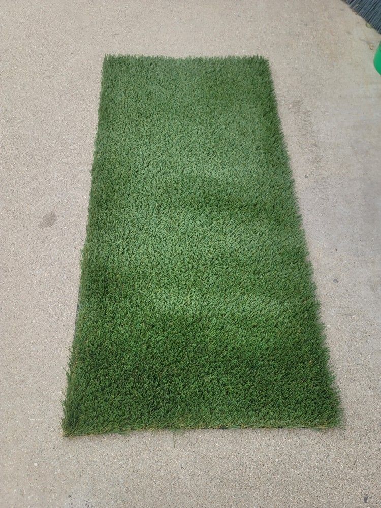Dog Run / Artificial Grass