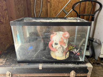 Fish Tank/terrarium