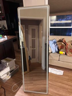 LED body mirror