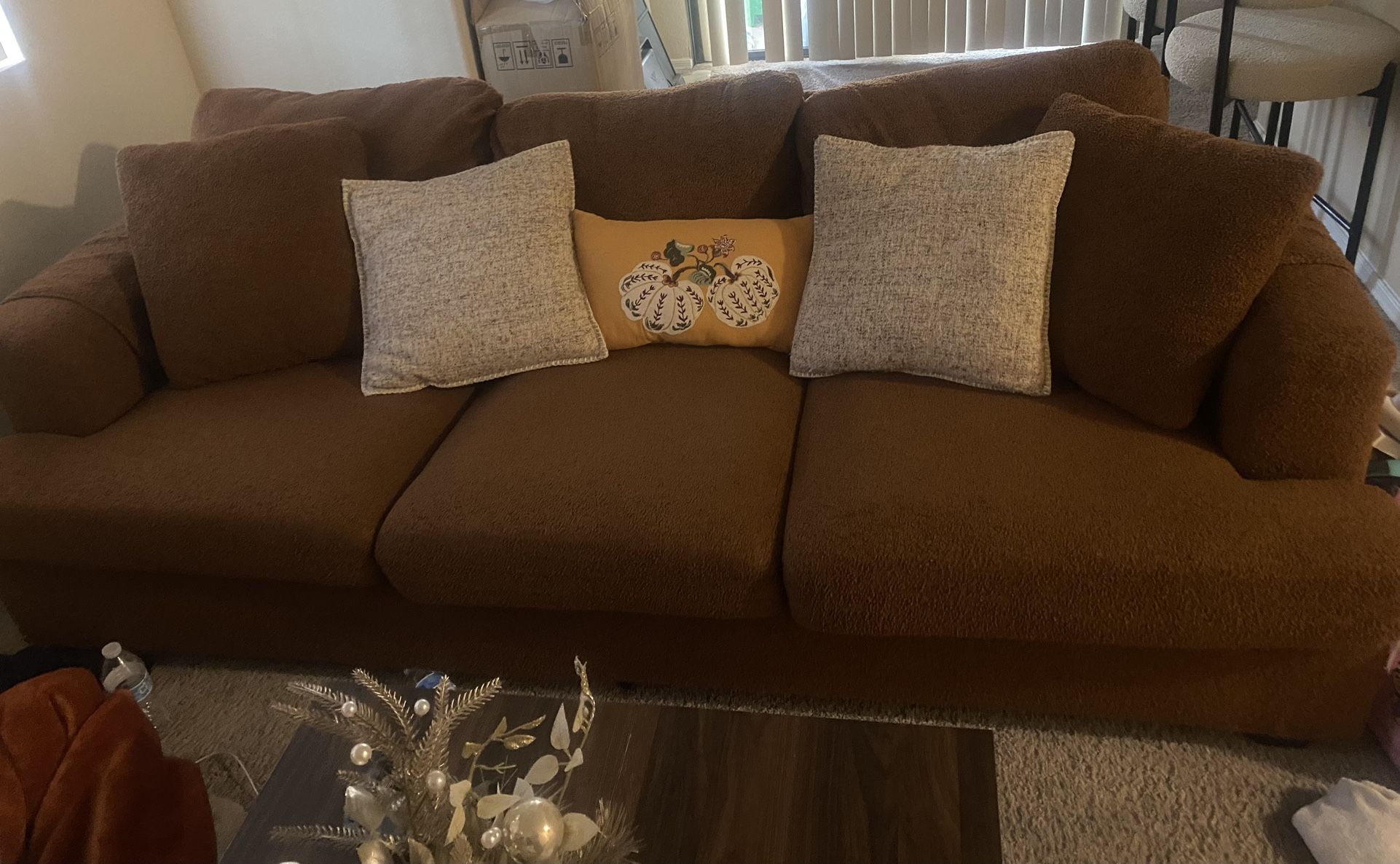 living room couch (pillows included)