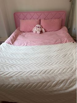 Queen Bed frame and Mattress