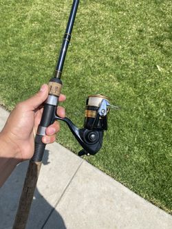 Daiwa Spinning Rod Combo