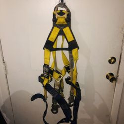 Harnesses 
