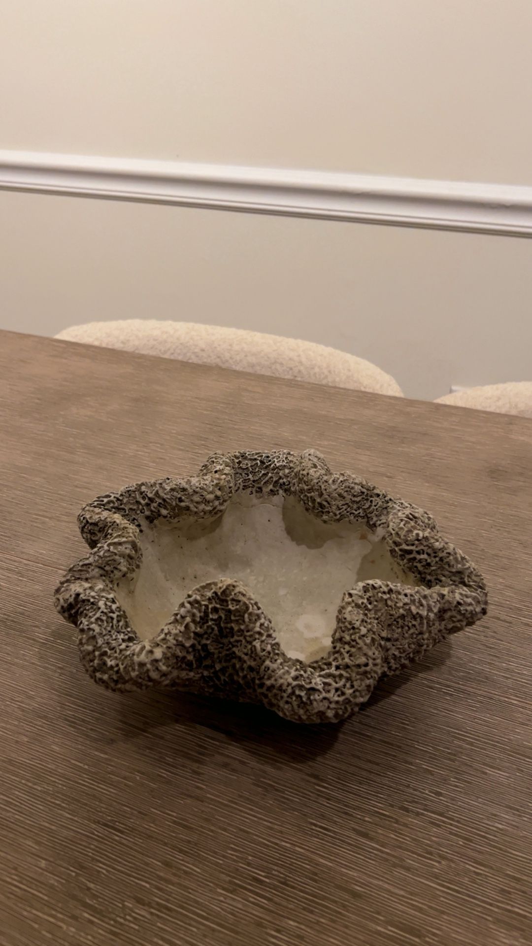 Coastal Cast Concrete Coral Decorative Bowl Planter Wrinkle