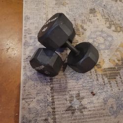 Two Fourty Pound Dumbbells