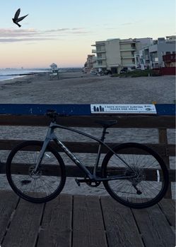 trek fxsport 4 carbon hybrid