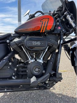 2021 Harley Davidson Street Bob