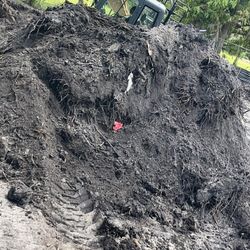 Rich Muck For Sale Per