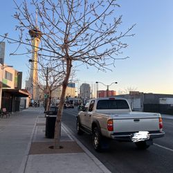 2002 Toyota Tacoma