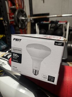 100W Light Bulbs 