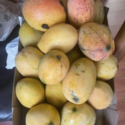 Carrie Mangoes 