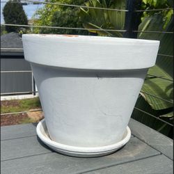 Beautiful Contemporary Ceramic Planter with Soil 