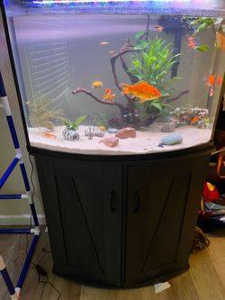Fish tank make offer