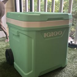 Igloo