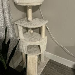 Cat Tower