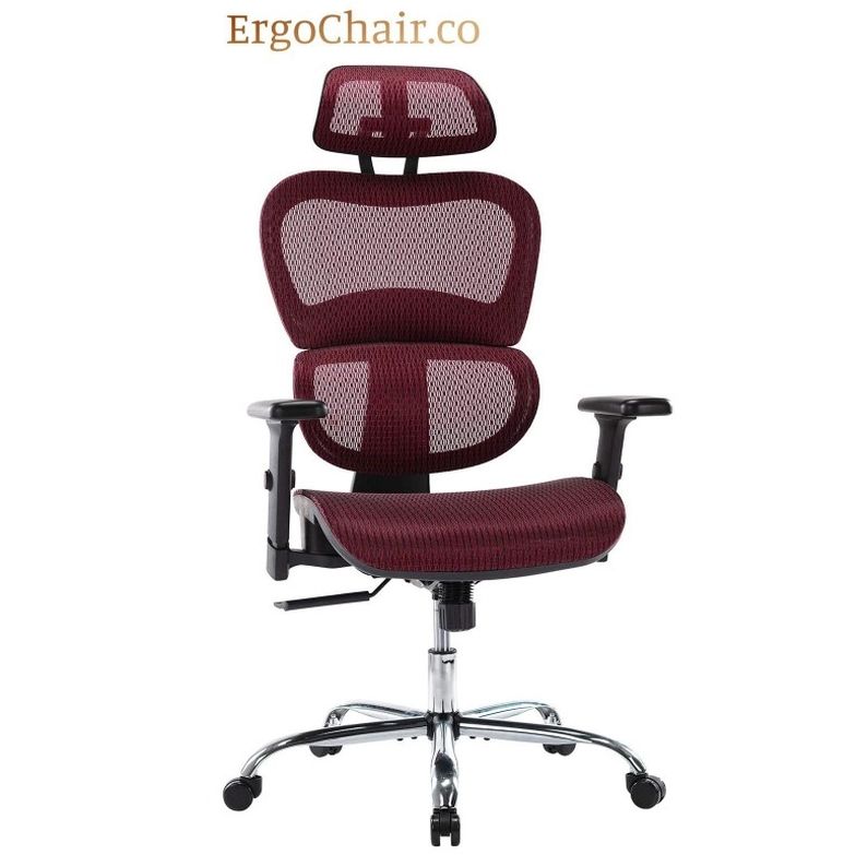 Free Shipping! Ergonomic Mesh Office Chair with Adjustable Headrest & Armrest