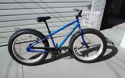 Monster Large Tire Bike