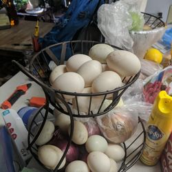 Fresh Chicken Eggs And Duck Eggs For Sale 