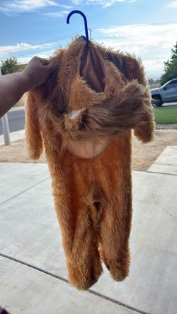 Lion Costume