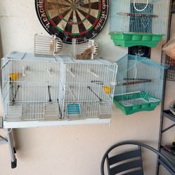 Bird Cages