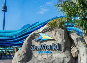 Sea World Tickets