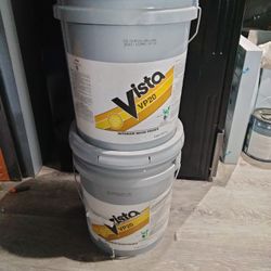 Vista Primer VP20
