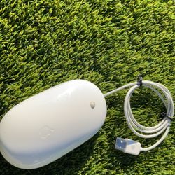 Apple Mouse with Nipple Scroll