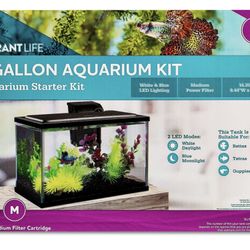 5 Gallon Glass  Aquarium Starter Kit