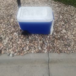 Cooler