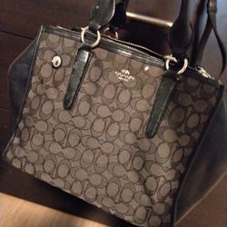 Coach Handbag/Purse