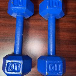 10 Lb Dumbbells 