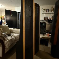 Martin Logan   SL3