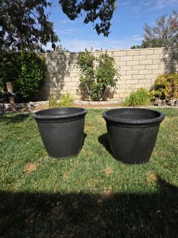 Large planters