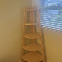 Ladder Shelf 