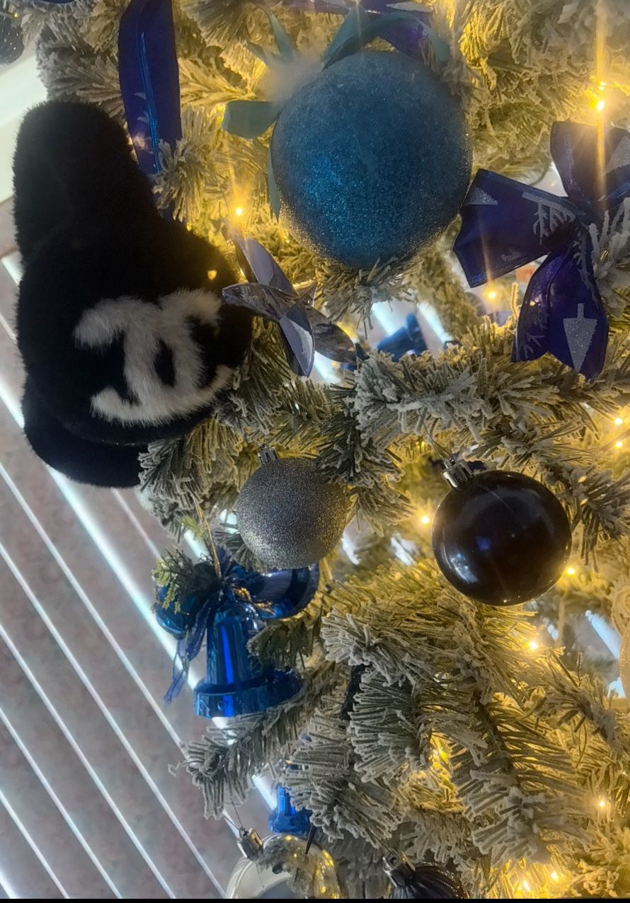 Christmas π Tree Ornament