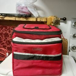 Thermos Collapsible Cooler Res