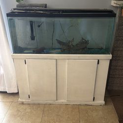 55 gallon comes with everything