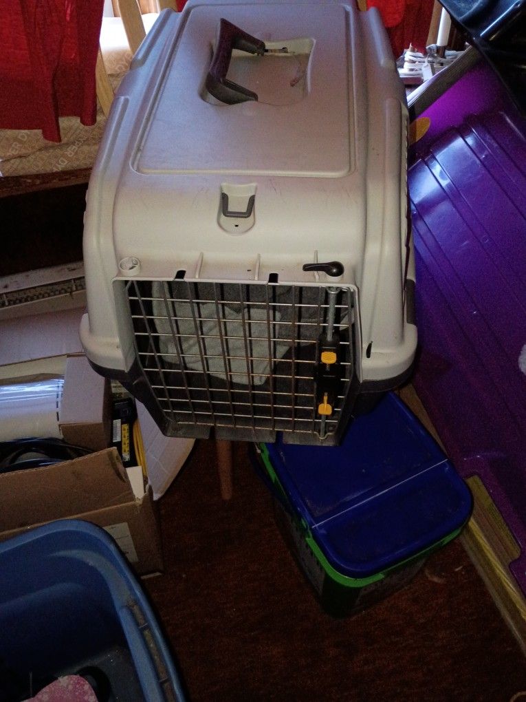 Cat Kennel