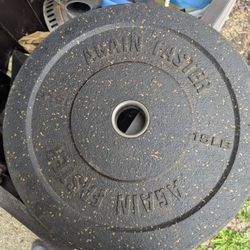 Again Faster 15 Lb Bumper Plates 