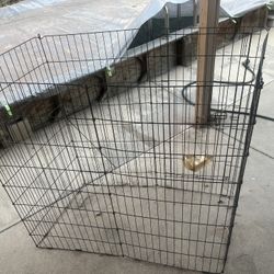 Dog Fence