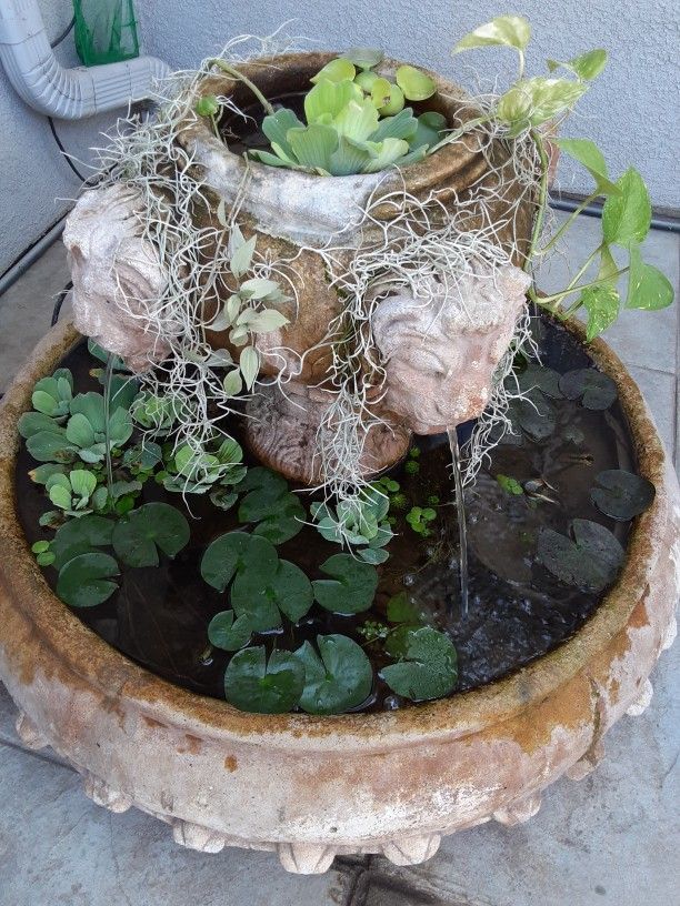 Fountain W/ Live Plants