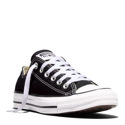 Brand New Converse Low Tops