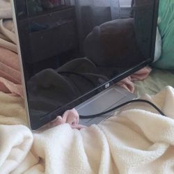 HP Monitor