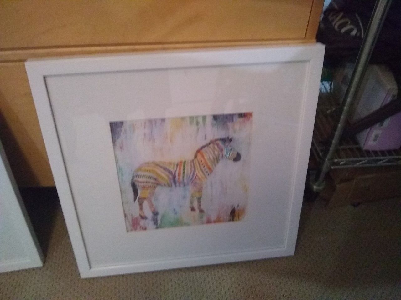 Brand New Zebra Picture...Retails for over $130