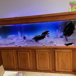 300 Gallon Acrylic Aquarium 